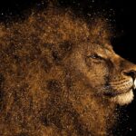 Image du produit précédent