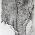 drawing-4851024_1280